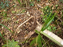 dsc00557